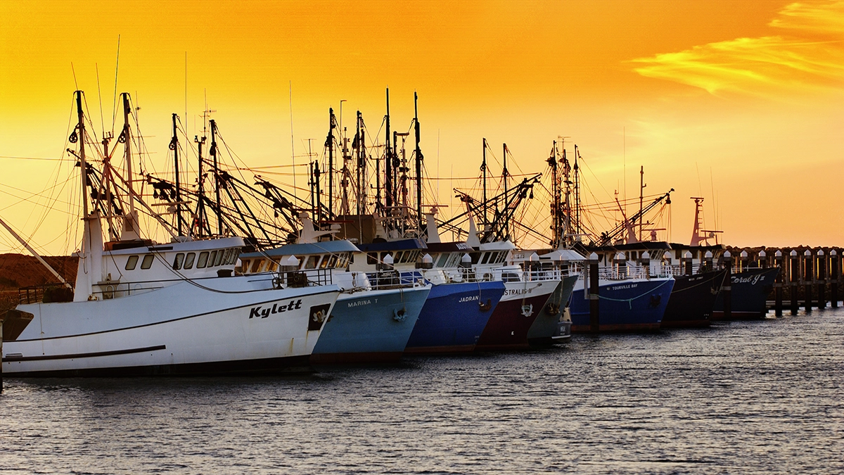 Docked Boats at Copper Cove Marina in Wallaroo